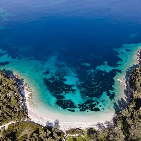 Margarita Paxos - Illa